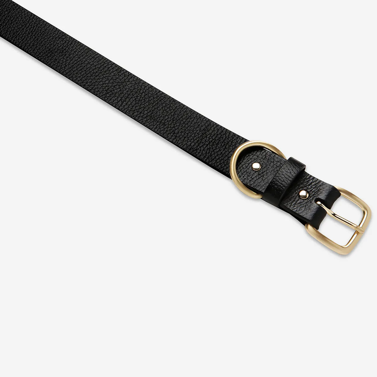 Disarm Belt - Black/Gold